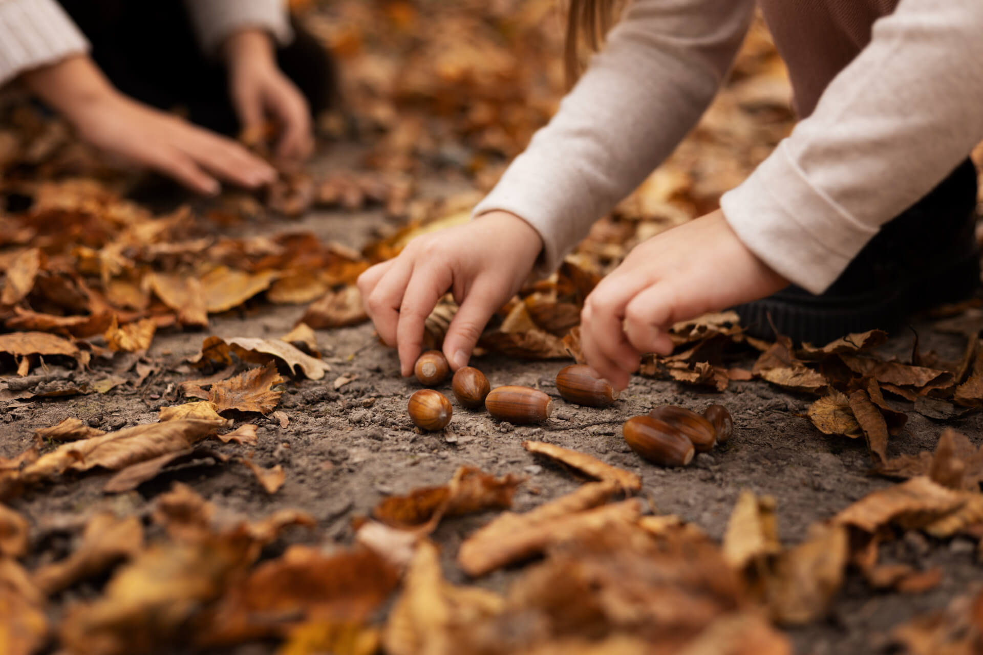 Puzzle Solution for Autumn Blues: Escape Rooms and Fitness! - photo