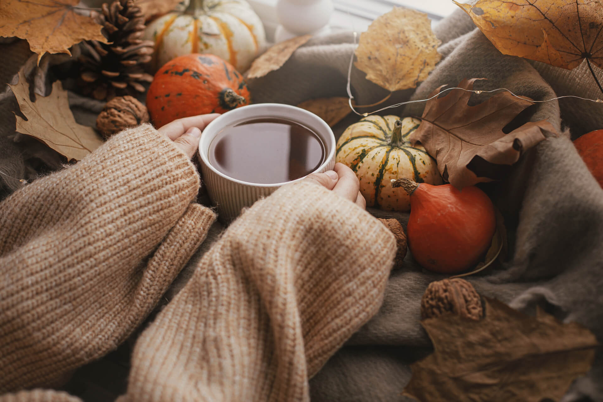 With friends in the cold autumn: The top activities! - photo