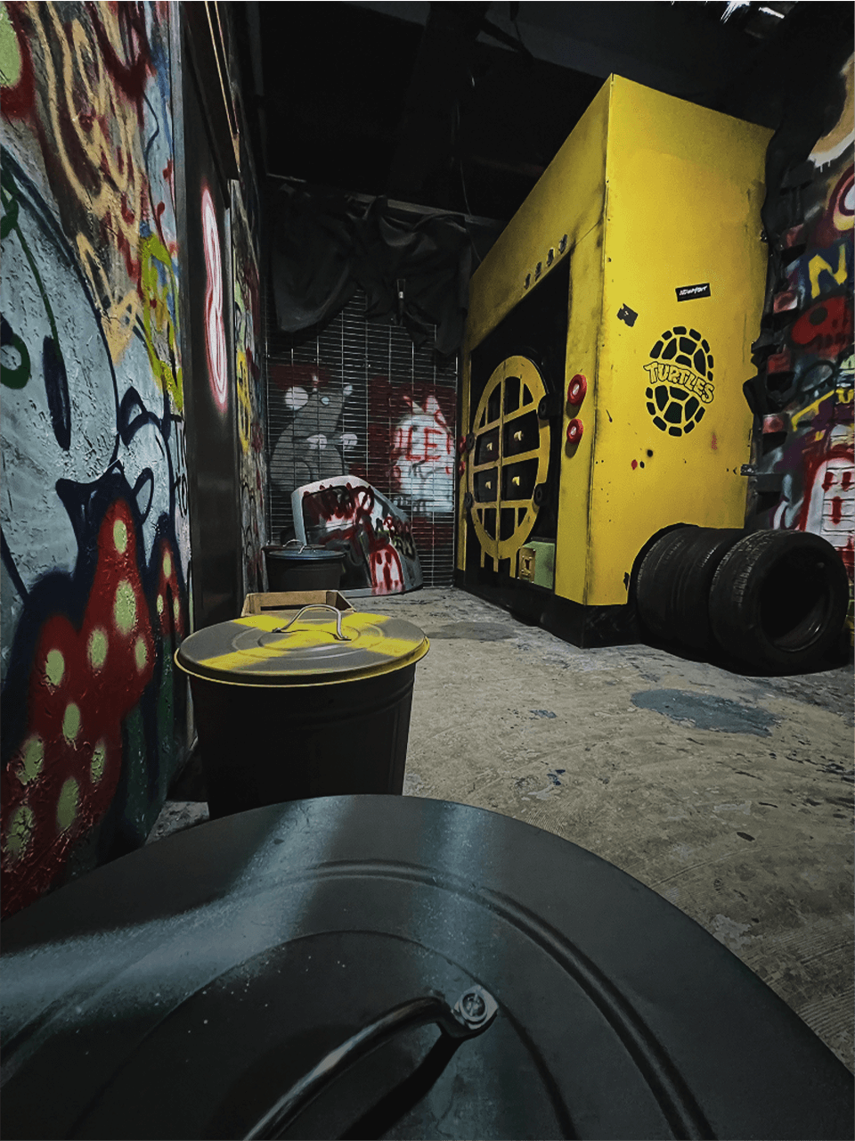 Turtles - Escape Room photo